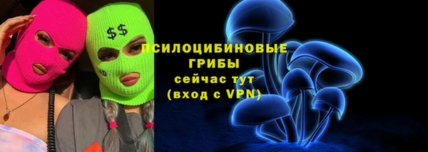дмт Аркадак