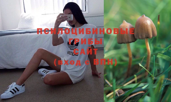 меф Арсеньев